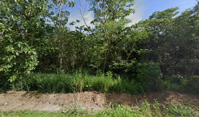 Home Stay Perlis (De Kampung Homestay)