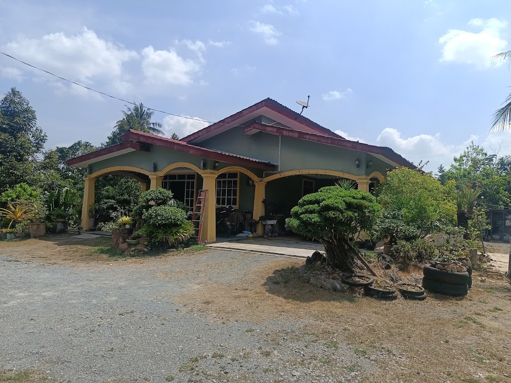 Rumah bukit hijau kuning