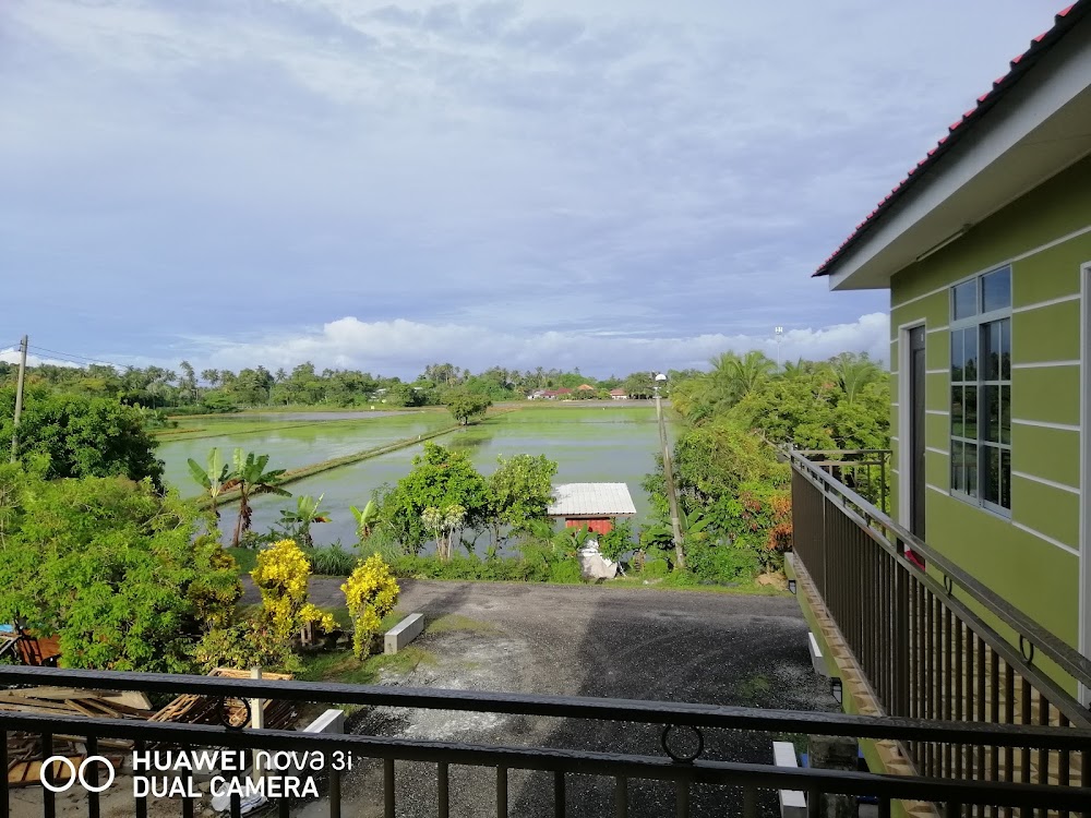 HOMESTAY BALIK PULAU PADDY VIEW
