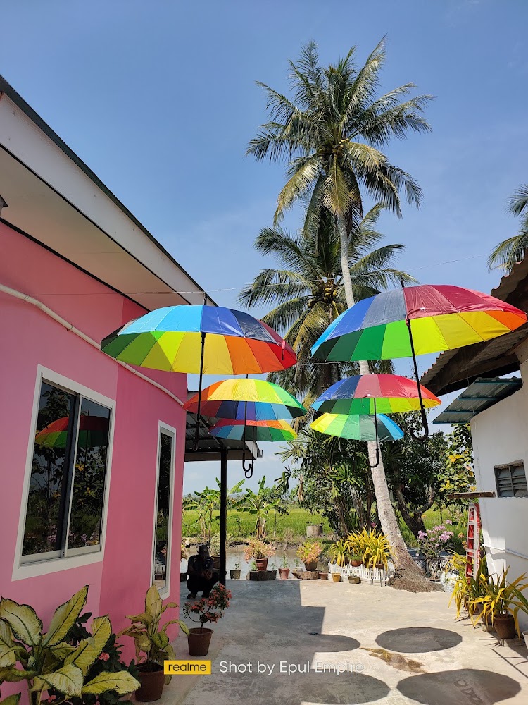 Pink Homestay D'Perlis