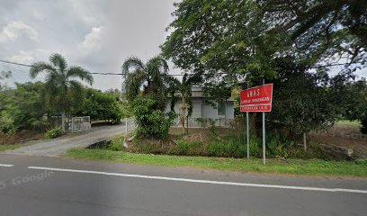 Lavender Homestay
