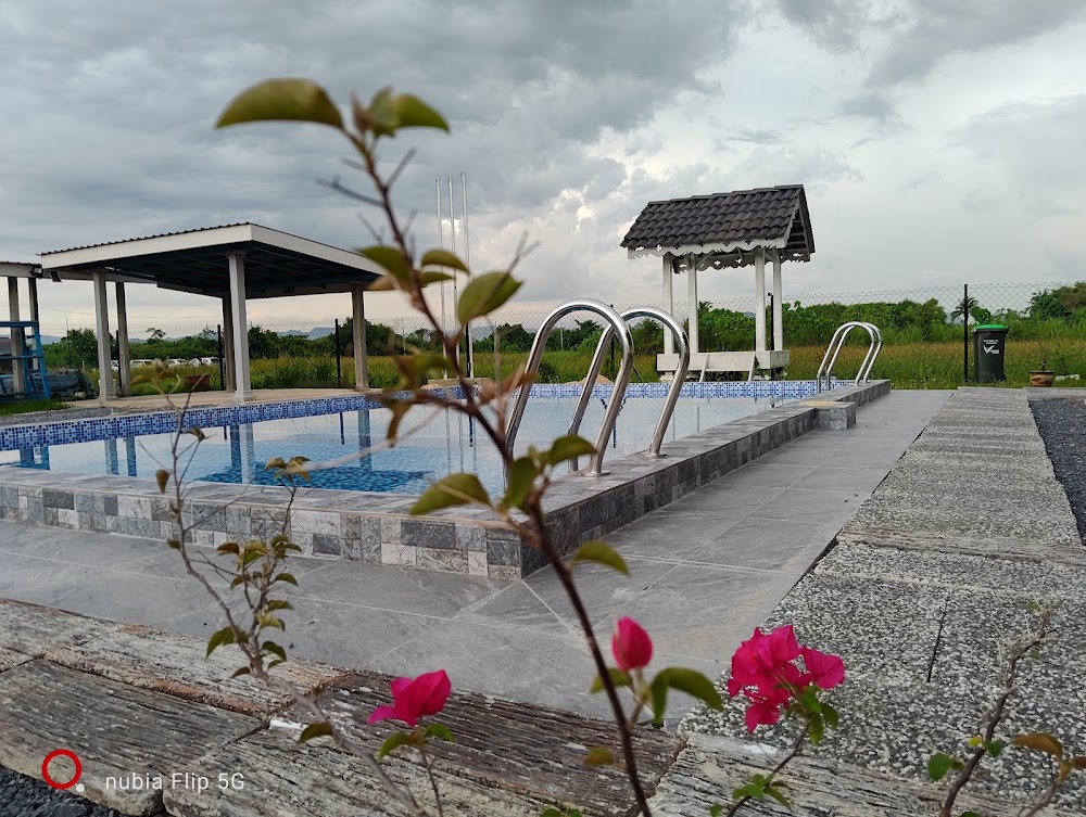 d'Ardani Home