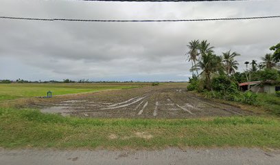 Tanah Abah Tok Pulau