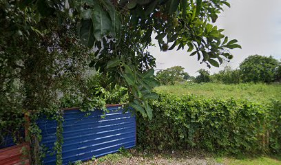 Noris Homestay